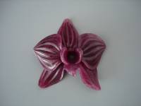 rubin-orchidee